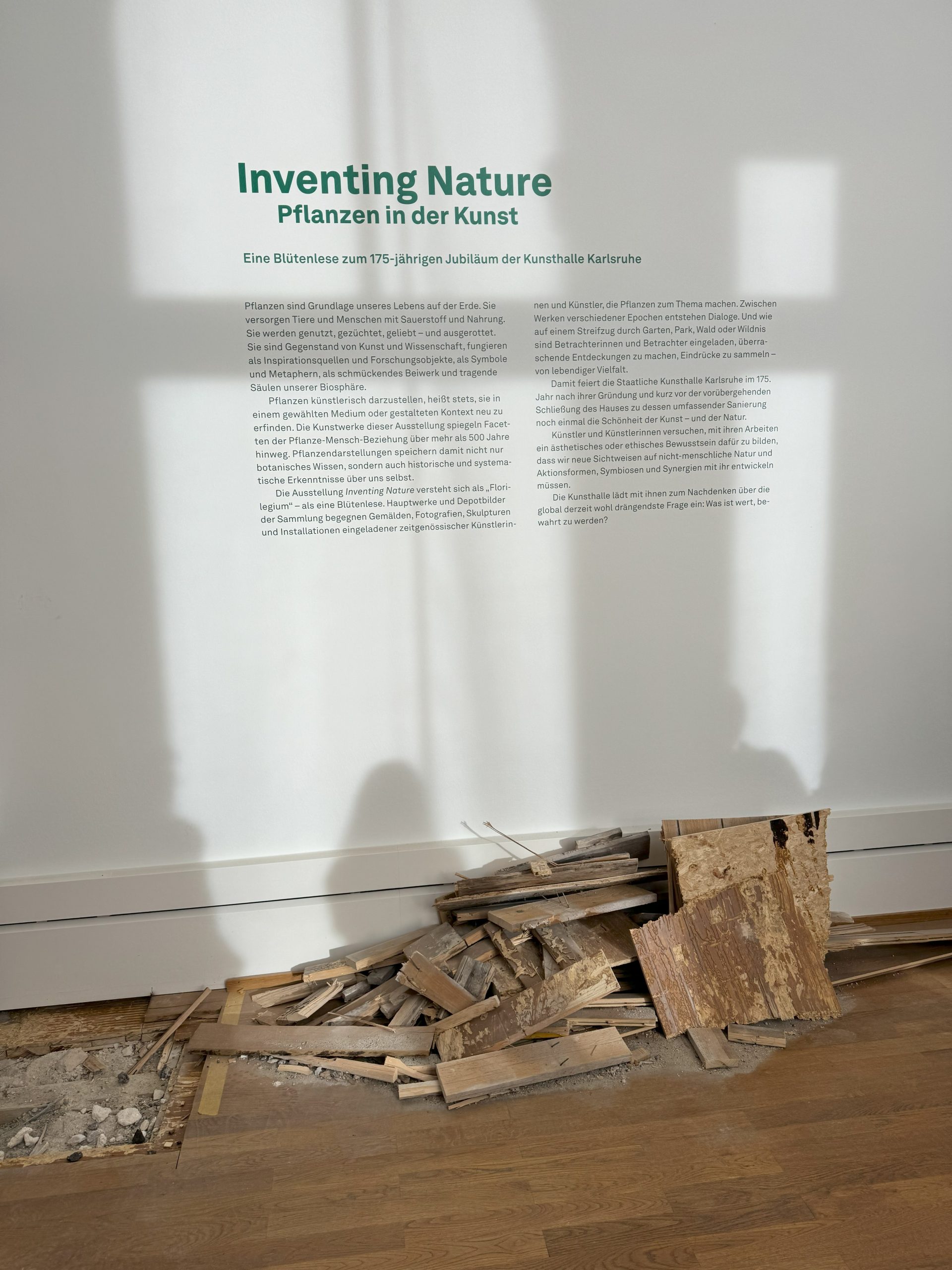 Beschriftung Inventing Nature vor Haufen mit Holzresten 