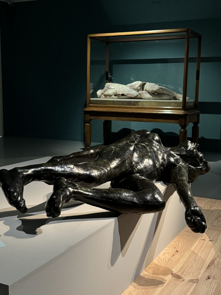 Auguste Rodin in Mons