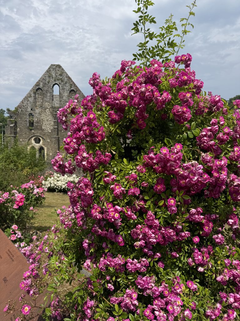 Ein grüner Blick auf die Abtei von Villers-la-Ville