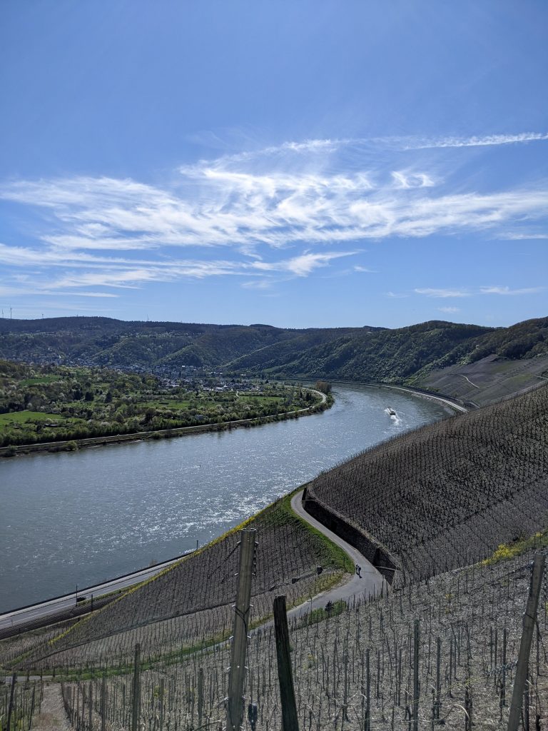 Blick auf den Rhein, der hier in den Weinbergen einen schönen Bogen schlägt. Am Himmel einige Schleierwolken 