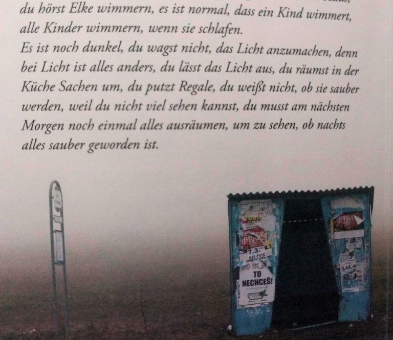 Bushaltestelle. Der neue Roman von Ulrike Anna Bleier.