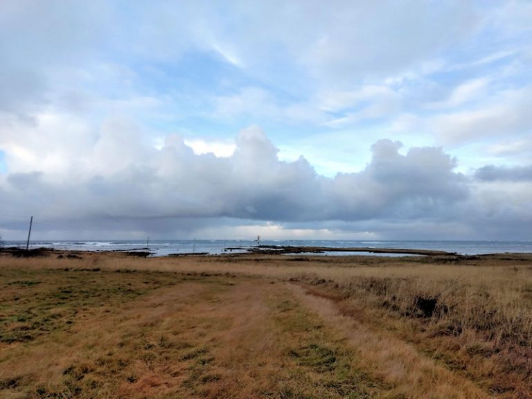 „Dass das Herz sich öffnet.“ Eine Reise nach Norwegen, dem Gastland der Buchmesse 2019